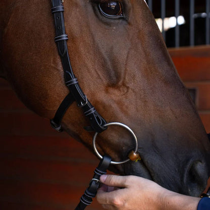 Millbrook Freedom Bridle
