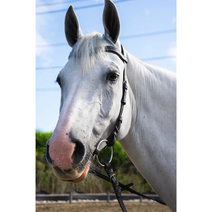 Millbrook Freedom Bridle