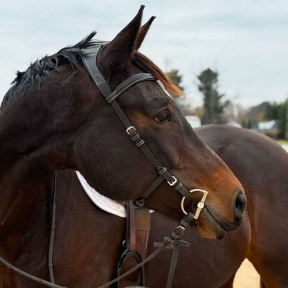 millbrook freedom bridle havana
