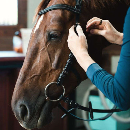 adjusting the millbrook freedom bridle