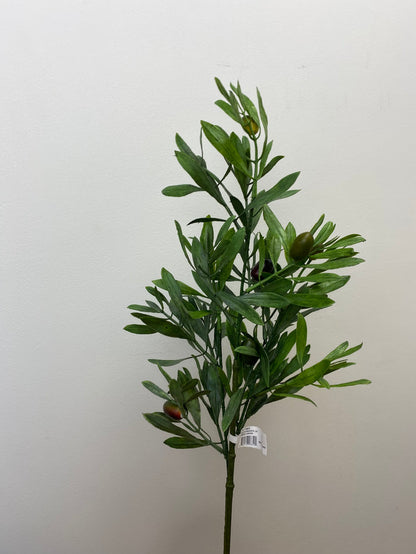 Mixed Olive Branch