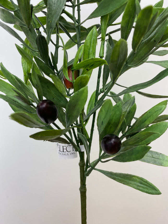 Mixed Olive Branch