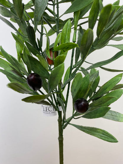 Mixed Olive Branch