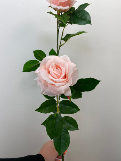 Peach Climbing Rose Spray