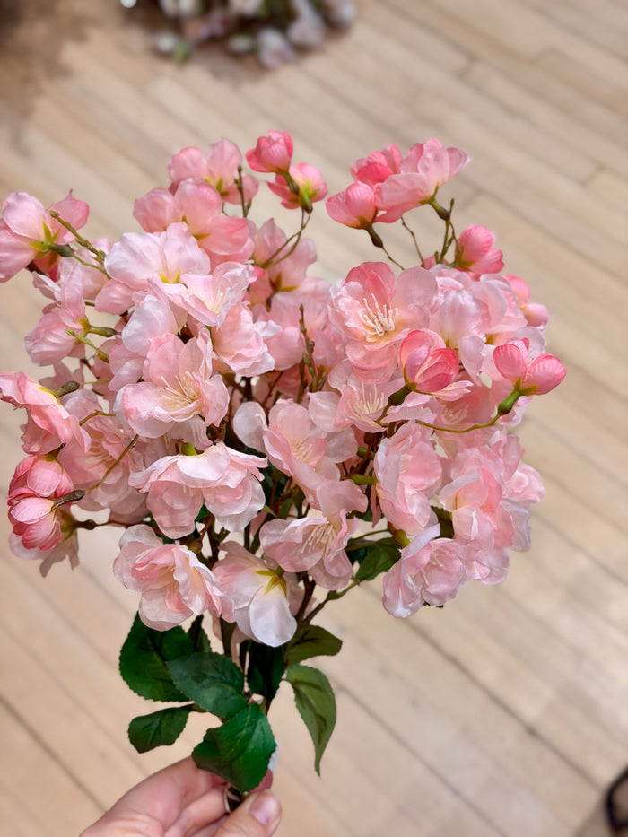 Pink Fuji Cherry Blossom Bundle