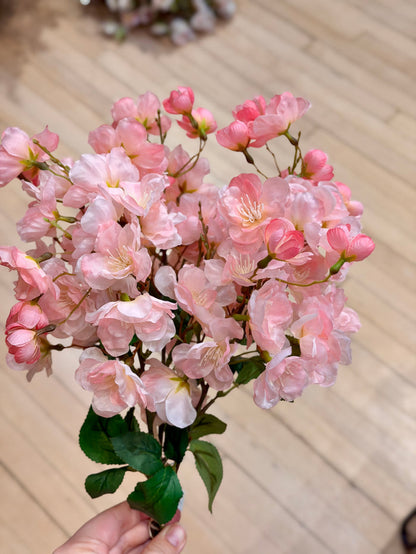 Pink Fuji Cherry Blossom Bundle