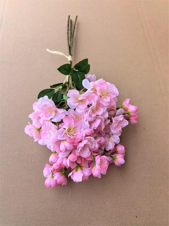 Pink Fuji Cherry Blossom Bundle