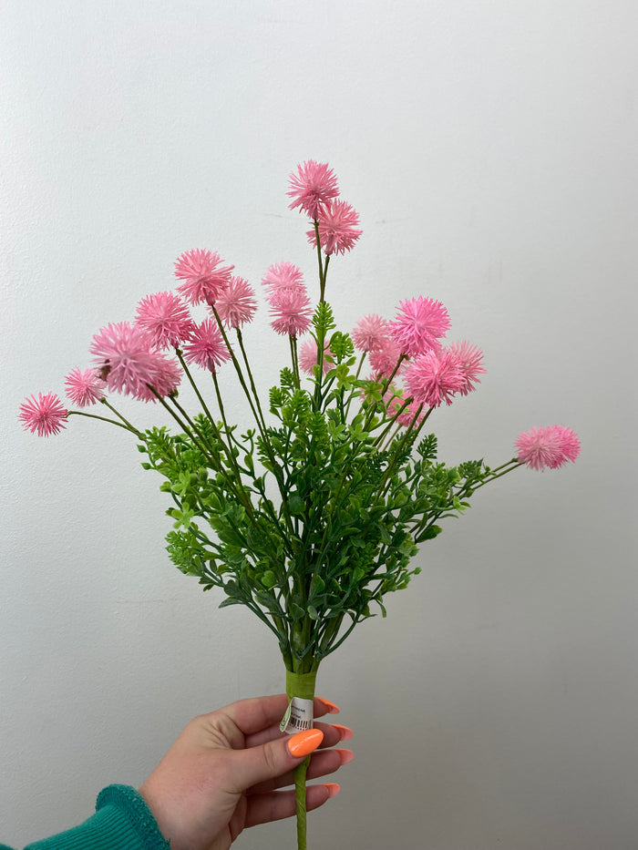 Pink Gomphrena Bush