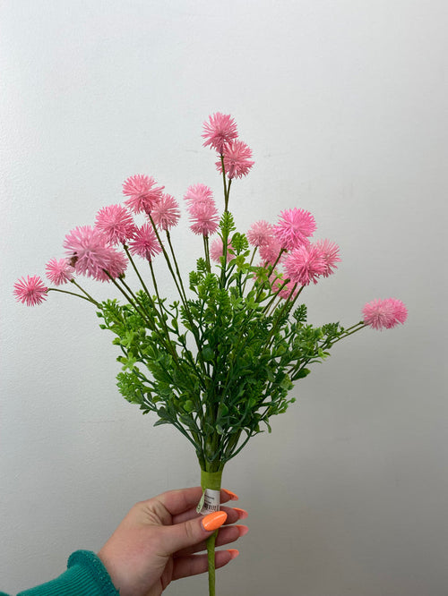 Pink Gomphrena Bush