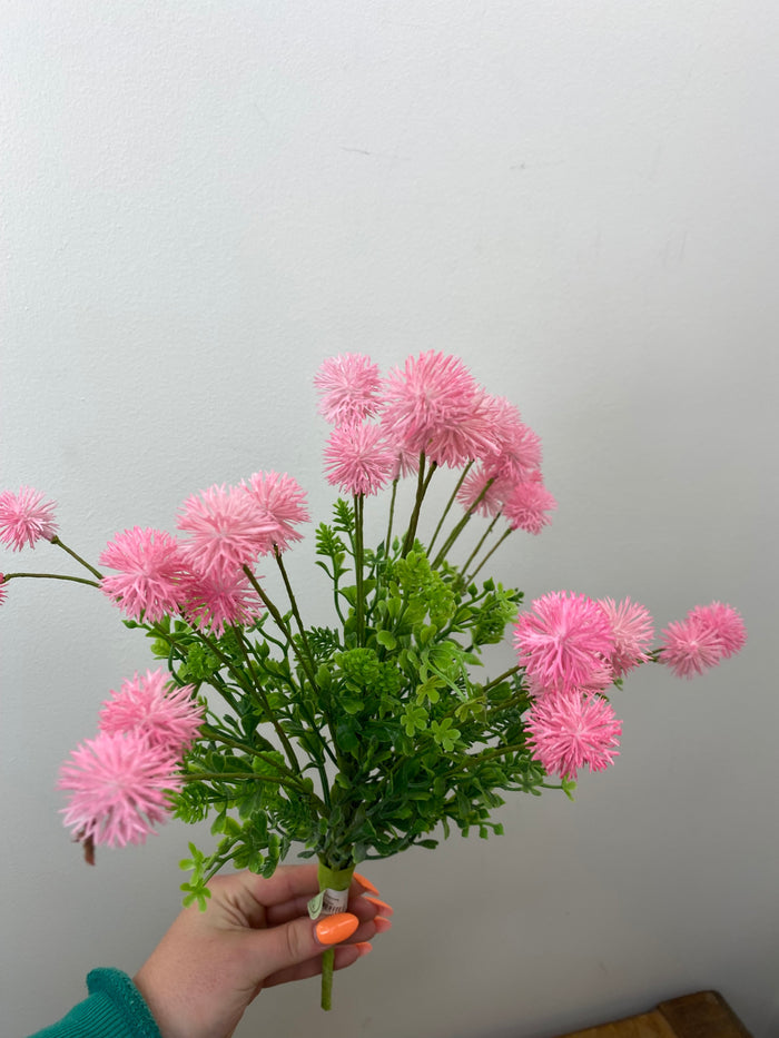Pink Gomphrena Bush
