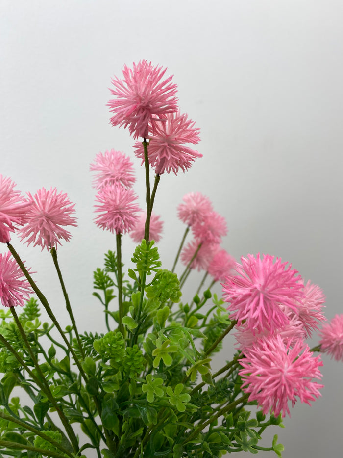 Pink Gomphrena Bush