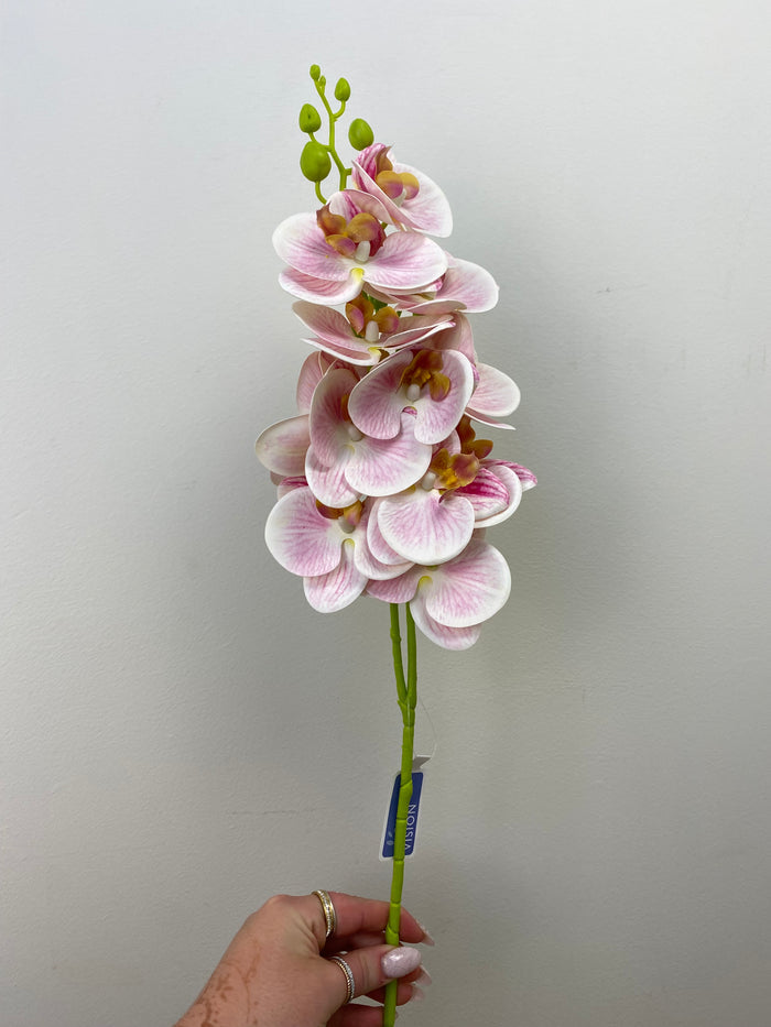 Pink Phalaenopsis Orchid Spray