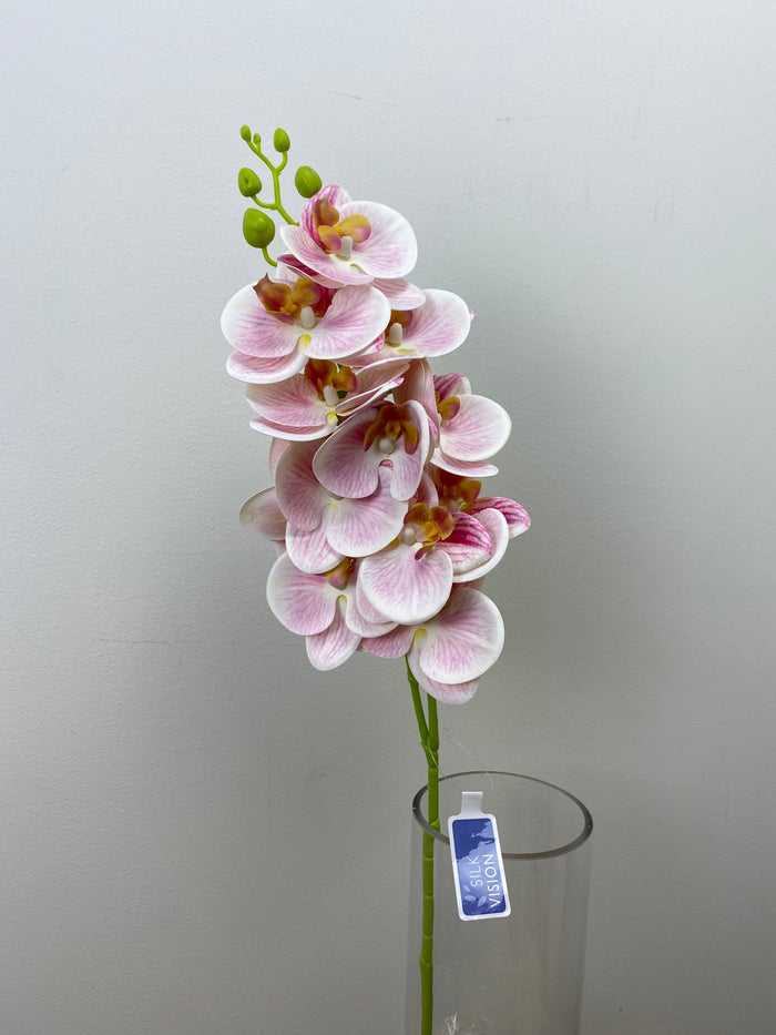Pink Phalaenopsis Orchid Spray