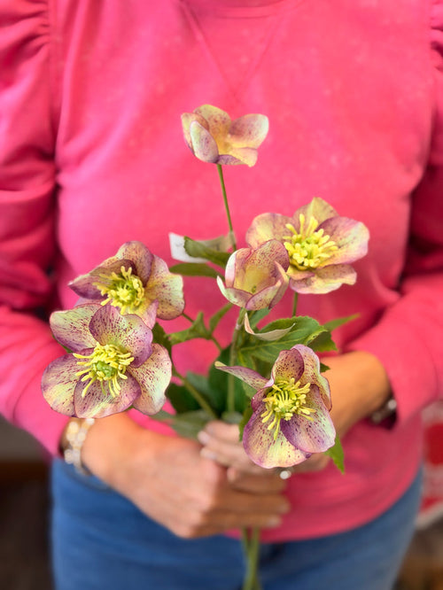 Silk plum green hellebore spray 19 inch for transitional everyday home decor from Magnolias Home Decor