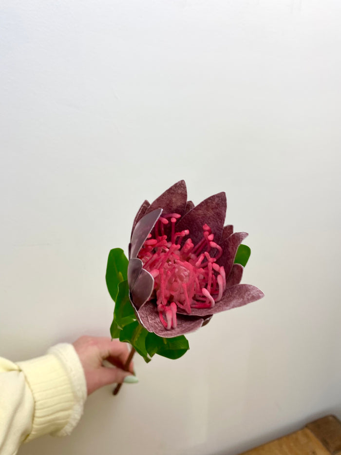 Plum King Protea Spray