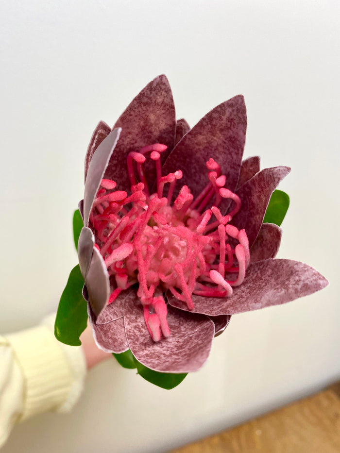 Plum King Protea Spray