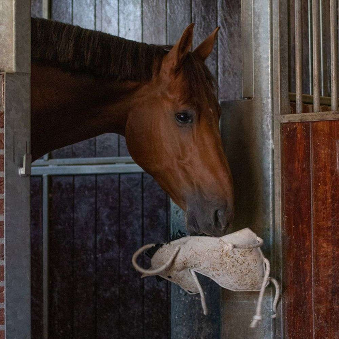 qhp hanging horse toy carried