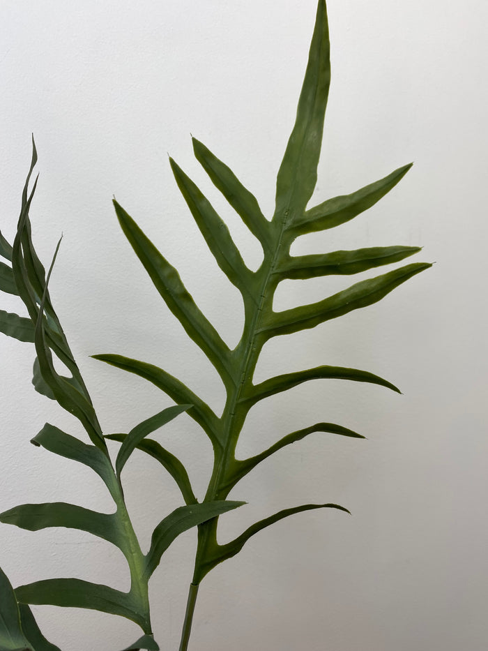 Real Touch Java Fern Bush