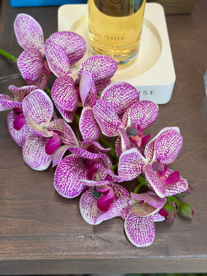 Silk purple cream real touch phalaenopsis orchid spray 21 inch for transitional everyday home decor from Magnolias Home Decor