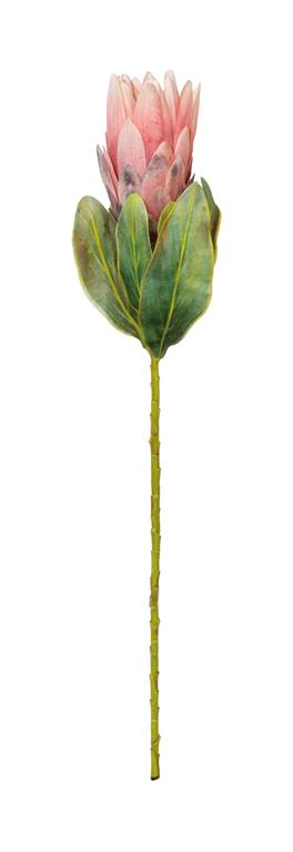 Silk salmon protea spray 22.5 inch for transitional everyday home decor from Magnolias Home Decor