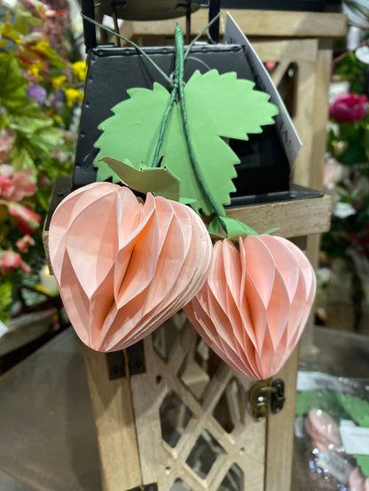 Strawberry Sweet Paper Accent- 2 Colors