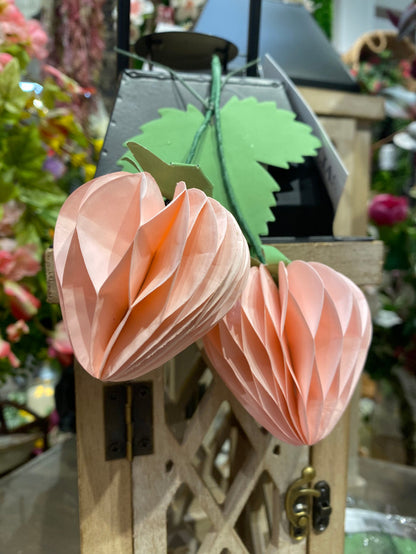 Strawberry Sweet Paper Accent- 2 Colors