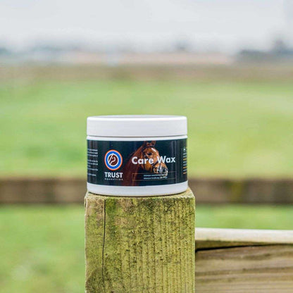trust leather care wax conditioner on fence