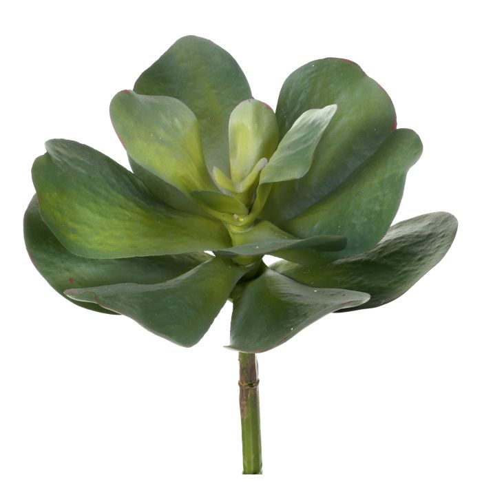 Silk green gray UV protect broad leaf succulent 10 inch outdoor safe for transitional everyday home decor from Magnolias Home Decor