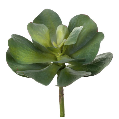 Silk green gray UV protect broad leaf succulent 10 inch outdoor safe for transitional everyday home decor from Magnolias Home Decor