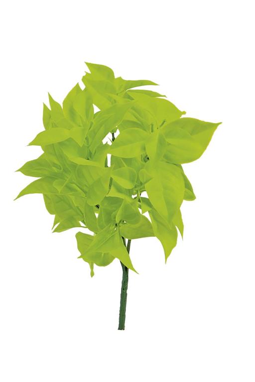 UV Protect Gardenia Leaf Bush