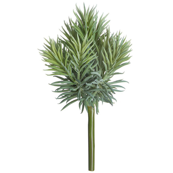 UV Protect Green Gray Senecio Pick