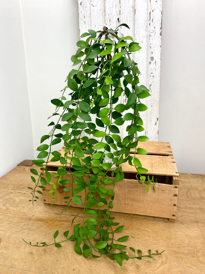 UV Protect Green Lipstick Vine