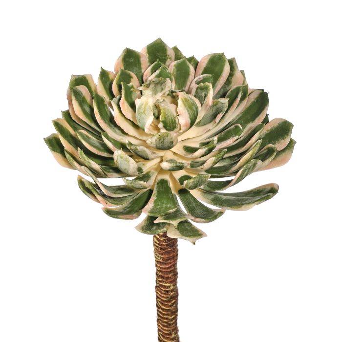 Silk variegated green UV protect spoon succulent pick 10 inch outdoor safe for transitional everyday home decor from Magnolias Home Decor