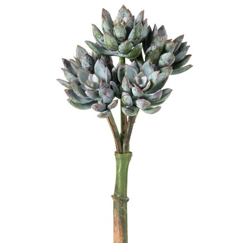 Silk blue gray UV protect star succulent pick 9 inch outdoor safe for transitional everyday home decor from Magnolias Home Decor