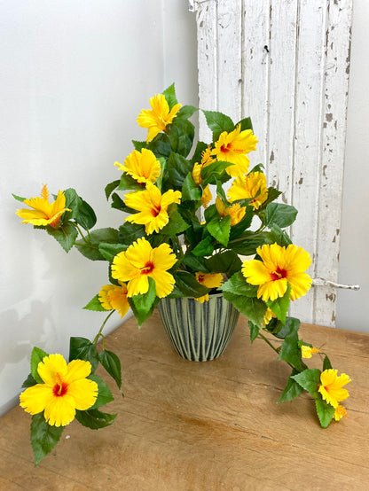 UV Protect Yellow Hanging Hibiscus Bush