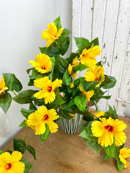 UV Protect Yellow Hanging Hibiscus Bush