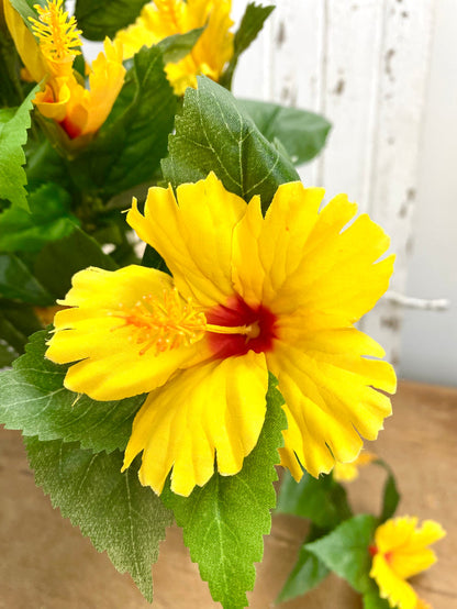 UV Protect Yellow Hanging Hibiscus Bush