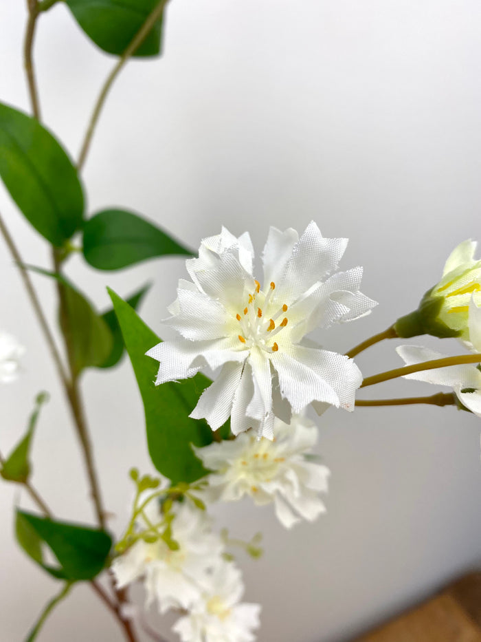 White Fox and Cubs Spray