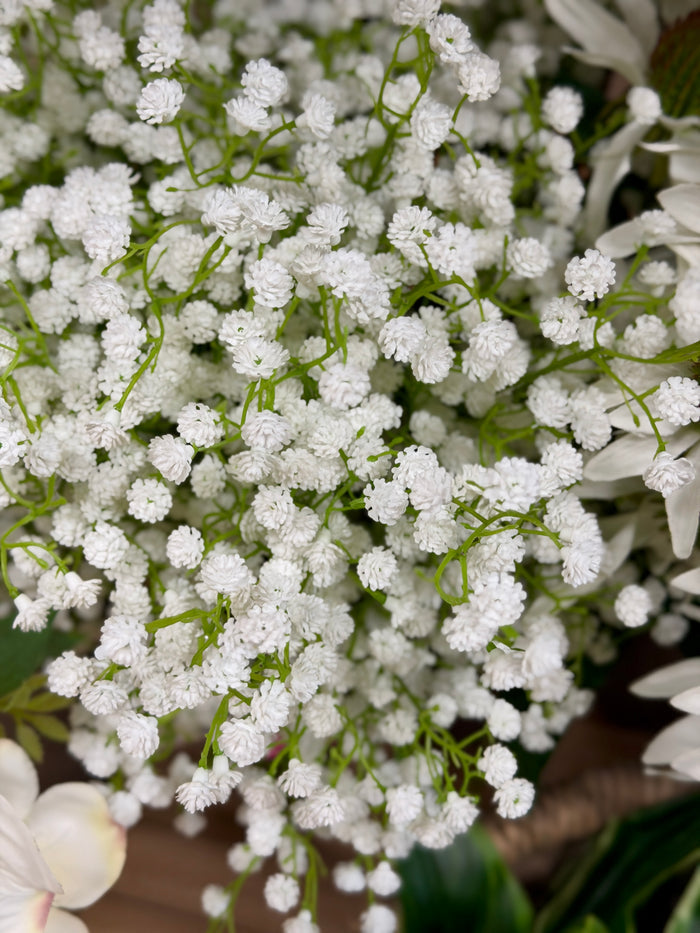 White Gypsophila Spray
