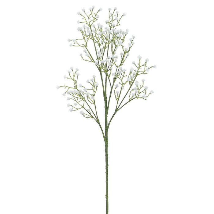 White Gypsophila Spray
