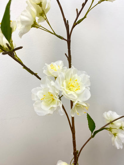 White Osaka Cherry Blossom Spray