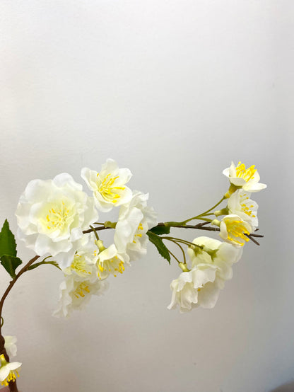 White Osaka Cherry Blossom Spray