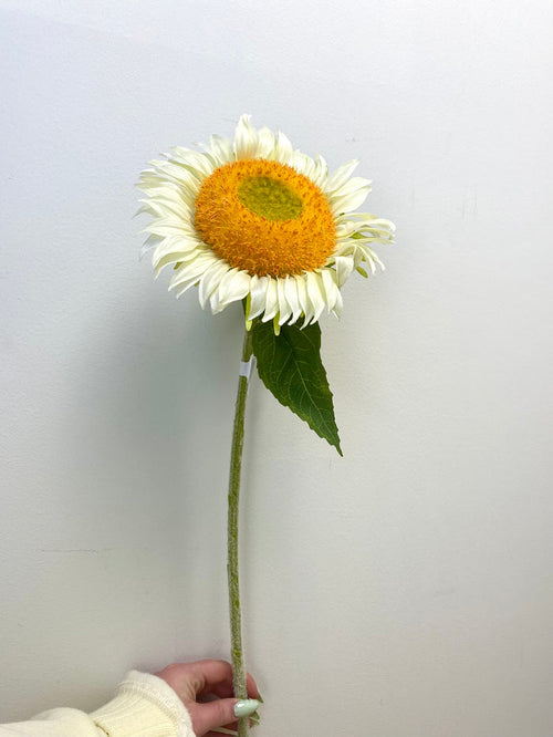 White Sunflower Spray
