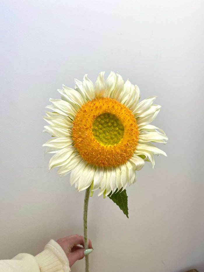 White Sunflower Spray
