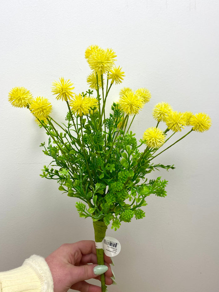 Yellow Gomphrena Bush