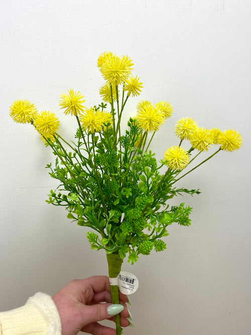 Yellow Gomphrena Bush