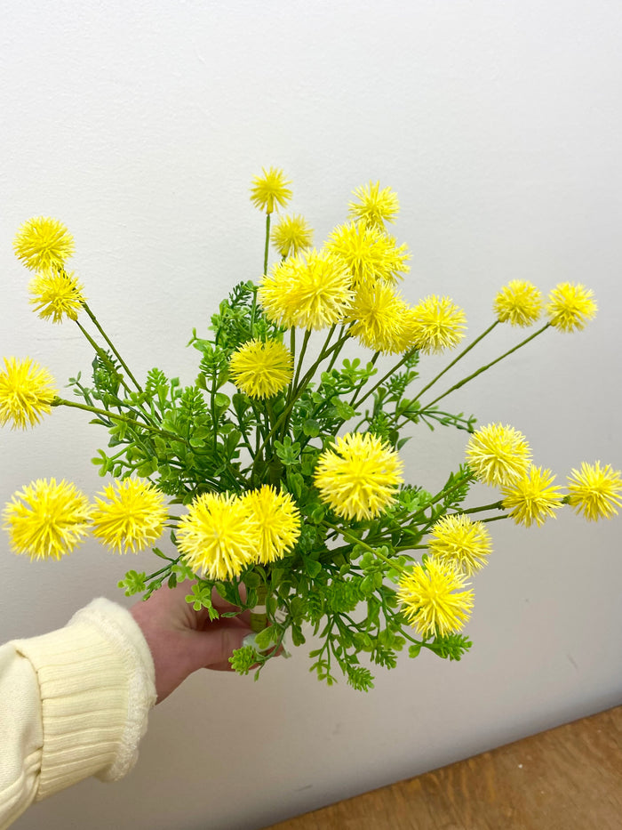 Yellow Gomphrena Bush