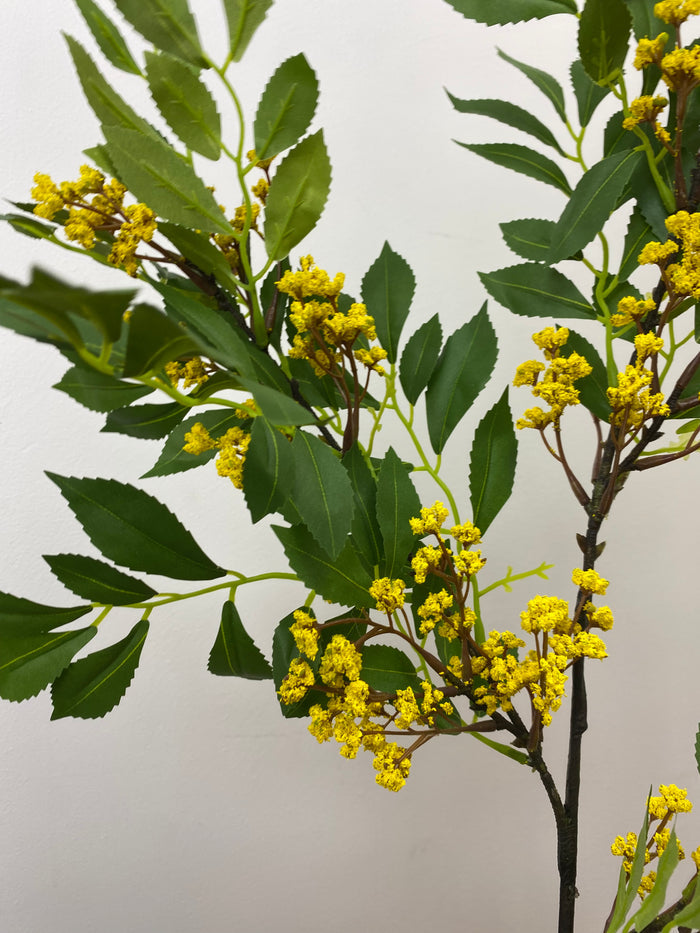 Yellow Sumac Leaf Spray