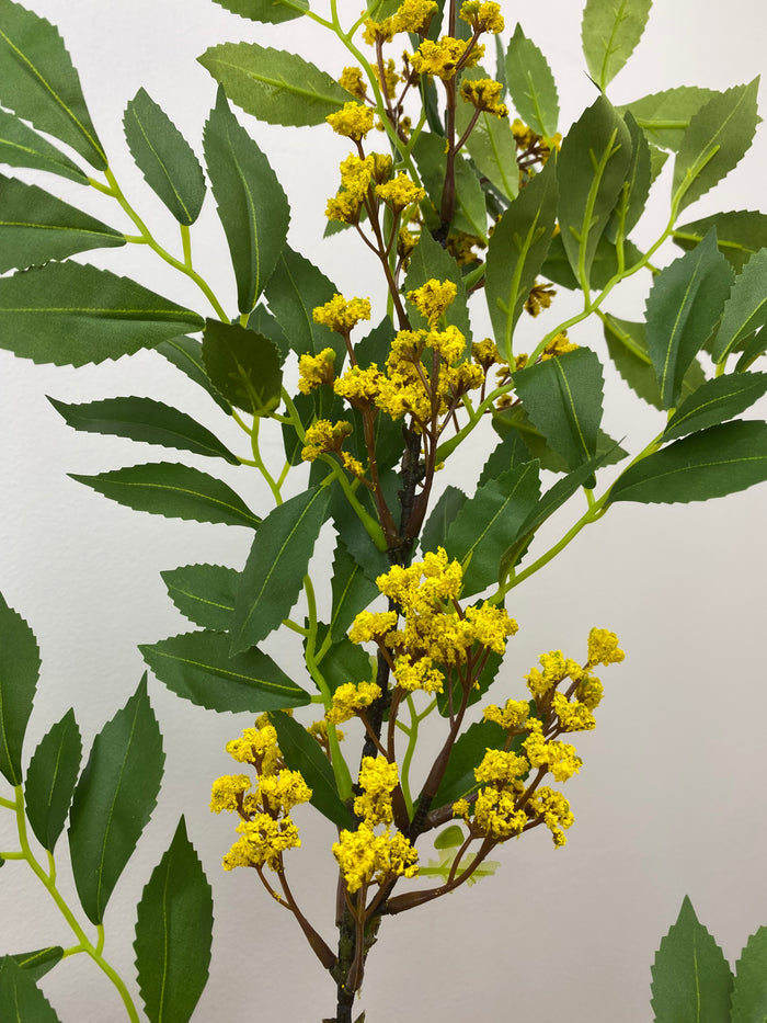 Yellow Sumac Leaf Spray