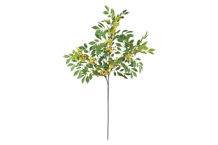 Yellow Sumac Leaf Spray